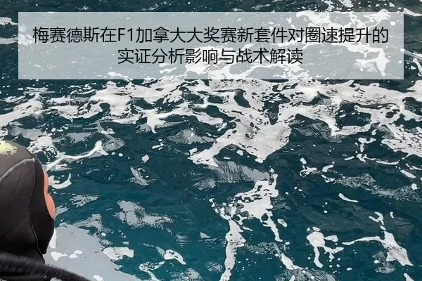 mei-sai-de-si-zai-jia-na-da-da-jiang-sai-xin-tao-jian-dui-quan-su-ti-sheng-de-shi-zheng-fen-xi-ying-xiang-yu-zhan-shu-1-816.jpg